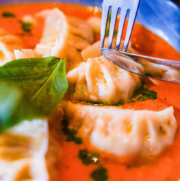 {{brizy_dc_image_alt imageSrc=